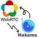 WebRTC and Nakama addon preview image