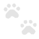 Snuff Puppy Keyboard hero image