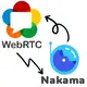 WebRTC and Nakama addon hero image