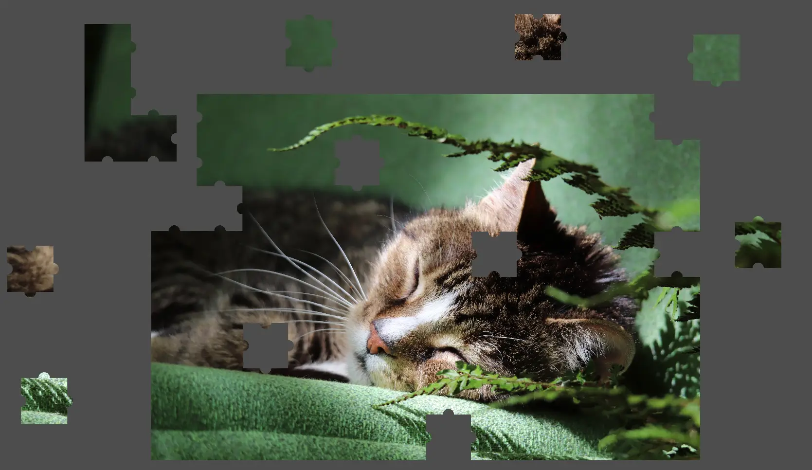 Jigsaw Puzzle Generator hero image