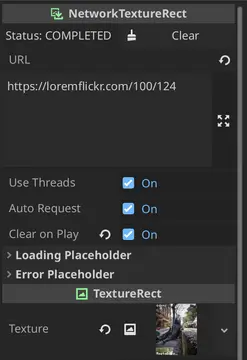 NetworkTextureRect thumbnail image