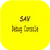 SAV Debug Console icon image