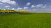 Simple Grass Textured thumbnail image