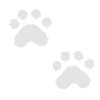 Snuff Puppy Keyboard background image