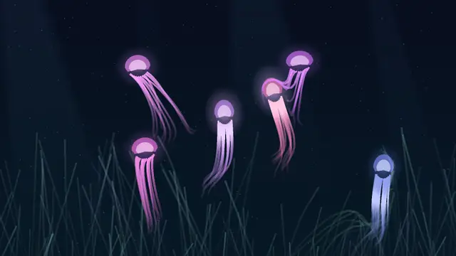 cuberact-library thumbnail image
