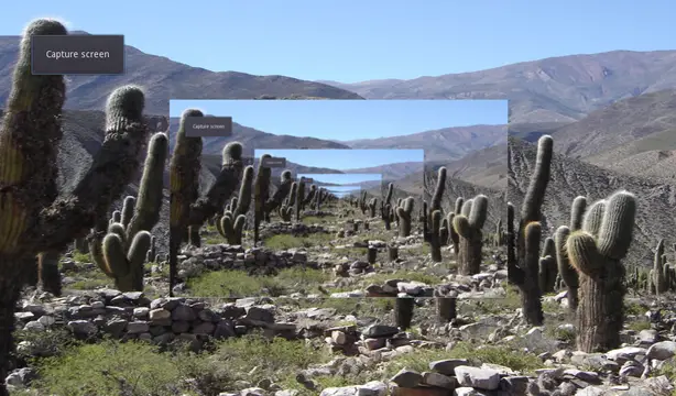 Screen Capture Demo preview image