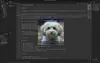 PandaTime [Take A Break] - Godot 4.2.2 thumbnail image