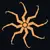Takobi AI icon image